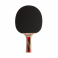 Ракетка DONIC LEGENDS 600 - 3